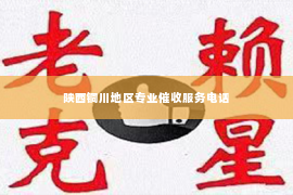 陕西铜川地区专业催收服务电话