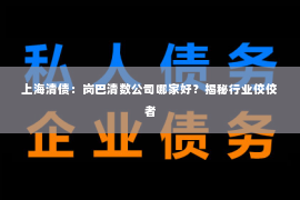 上海清债：岗巴清数公司哪家好？揭秘行业佼佼者