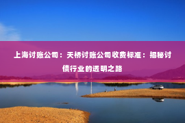 上海讨账公司：天桥讨账公司收费标准：揭秘讨债行业的透明之路