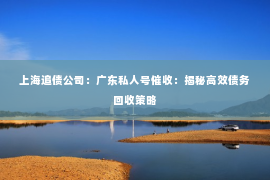 上海追债公司：广东私人号催收：揭秘高效债务回收策略