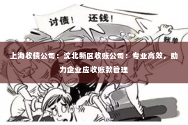 上海收债公司：沈北新区收账公司：专业高效，助力企业应收账款管理