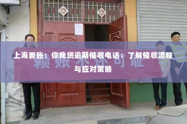 上海要账：你我贷逾期催收电话：了解催收流程与应对策略