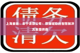 上海要账：丰宁清数公司：数据驱动的智慧解决方案提供商