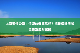 上海要债公司：借呗的催收怎样？揭秘借呗催收流程及应对策略