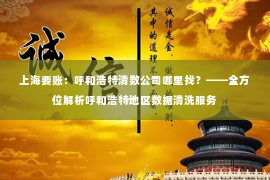 上海要账：呼和浩特清数公司哪里找？——全方位解析呼和浩特地区数据清洗服务
