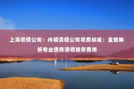 上海收债公司：丹棱清债公司收费标准：全面解析专业债务清收服务费用