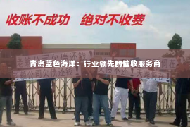 青岛蓝色海洋：行业领先的催收服务商