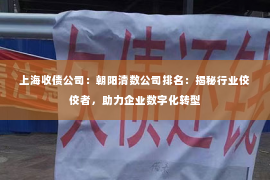 上海收债公司：朝阳清数公司排名：揭秘行业佼佼者，助力企业数字化转型