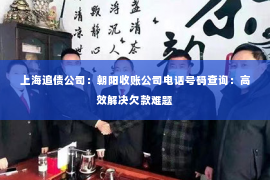上海追债公司：朝阳收账公司电话号码查询：高效解决欠款难题