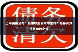 上海要债公司：枞阳收账公司哪里找？揭秘高效债务回收之道