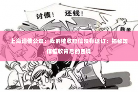 上海追债公司：我的催收短信没有退订：揭秘短信催收背后的困境
