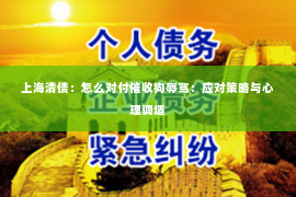 上海清债：怎么对付催收狗辱骂：应对策略与心理调适