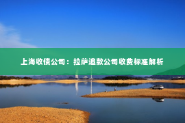 上海收债公司：拉萨追款公司收费标准解析