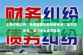 上海讨账公司：枞阳清数公司联系电话：全方位服务，助力企业高效运营