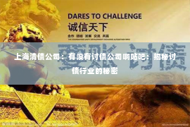 上海清债公司：有没有讨债公司啊贴吧：揭秘讨债行业的秘密