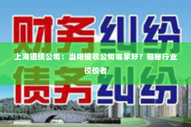 上海追债公司：当阳催收公司哪家好？揭秘行业佼佼者