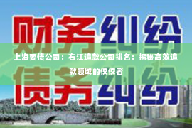 上海要债公司：右江追款公司排名：揭秘高效追款领域的佼佼者