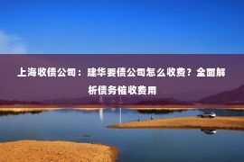 上海收债公司：建华要债公司怎么收费？全面解析债务催收费用
