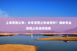 上海收账公司：中牟清债公司哪家好？揭秘专业清债公司选择指南