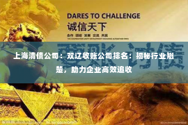 上海清债公司：双辽收账公司排名：揭秘行业翘楚，助力企业高效追收