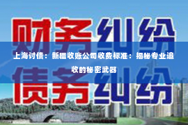 上海讨债：新疆收账公司收费标准：揭秘专业追收的秘密武器