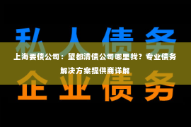 上海要债公司：望都清债公司哪里找？专业债务解决方案提供商详解