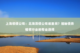 上海收债公司：北海清债公司哪里找？揭秘债务催收行业的专业选择
