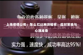 上海收债公司：怎么扛过网贷催收：应对策略与心理准备