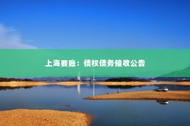 上海要账：债权债务催收公告