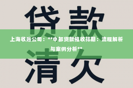 上海收账公司：**中邮贷款催收排期：流程解析与案例分析**