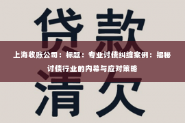 上海收账公司：标题：专业讨债纠缠案例：揭秘讨债行业的内幕与应对策略
