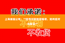 上海要账公司：**任性付发短信催收，如何应对与解读**