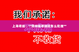 上海收账：**借呗催收骚扰怎么处理**