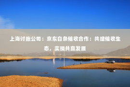 上海讨账公司：京东白条催收合作：共建催收生态，实现共赢发展
