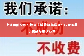 上海要账公司：信用卡催收相关数据：行业现状、挑战与解决方案