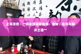 上海清债：**微米贷逾期催收：理解、应对与解决之道**
