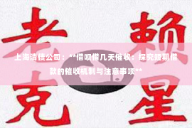 上海清债公司：**借呗借几天催收：探究短期借款的催收机制与注意事项**