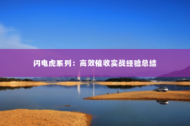 闪电虎系列：高效催收实战经验总结