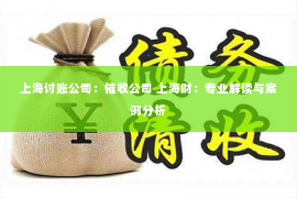 上海讨账公司：催收公司 上海财：专业解读与案例分析