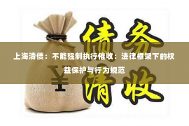 上海清债：不能强制执行催收：法律框架下的权益保护与行为规范