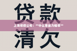 上海收债公司：**什么事暴力催收**