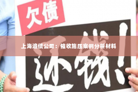 上海追债公司：催收施压案例分析材料