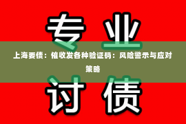 上海要债：催收发各种验证码：风险警示与应对策略