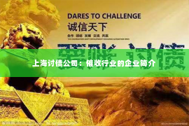 上海讨债公司：催收行业的企业简介