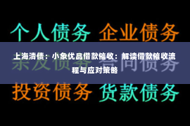 上海清债：小象优品借款催收：解读借款催收流程与应对策略