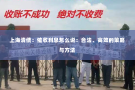 上海清债：催收利息怎么说：合法、高效的策略与方法