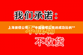 上海要债公司：**中国催收公司的成功比例**