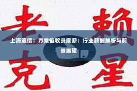 上海追债：万乘催收员底薪：行业薪酬解析与前景展望