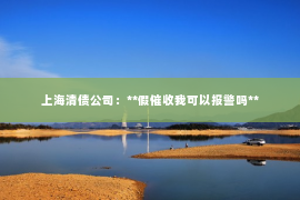 上海清债公司：**假催收我可以报警吗**
