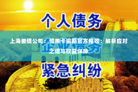 上海要债公司：信用卡逾期官方催收：解析应对之道与权益保障
